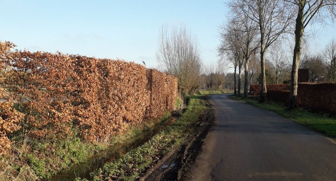 foto-eerder-jaar4-1-e1698927449328